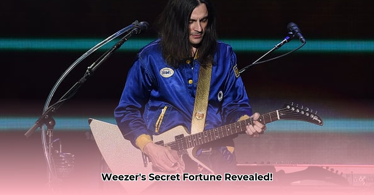 weezer-net-worth